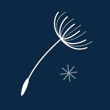 anemochory.io